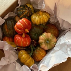 COPY - Box full of colorful  fall Gordes